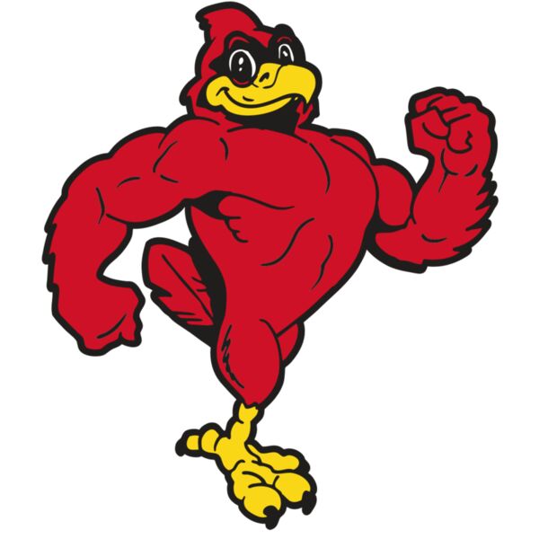 AR CARDINAL 41 RC Thumbnail